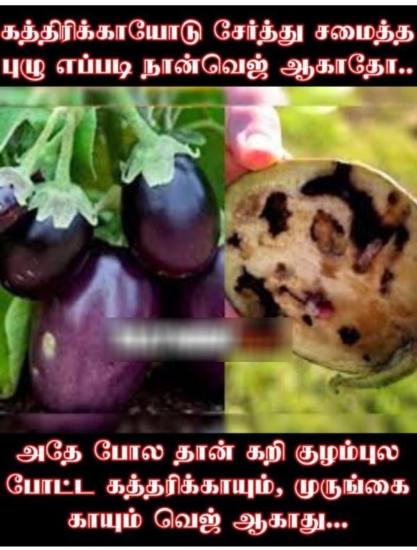 sunday food memes sunday food memes