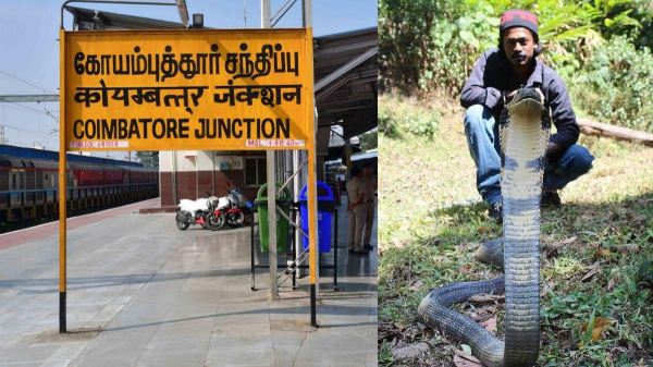 Coimbatore snake catcher Kovai