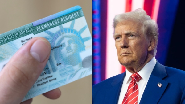 Donald Trump America India