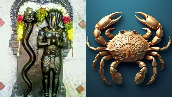 Rahu ketu peyarchi Kadagam Astrology