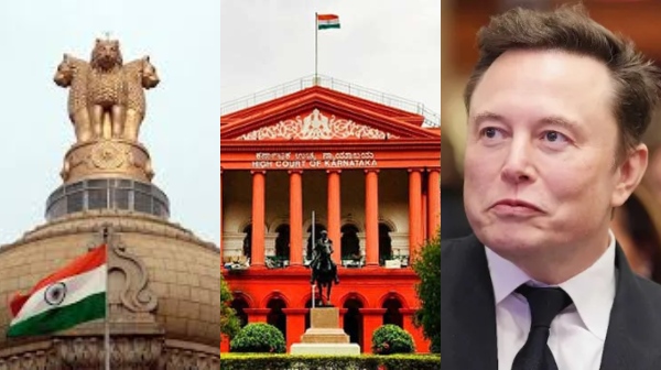 Elon Musk Central govt