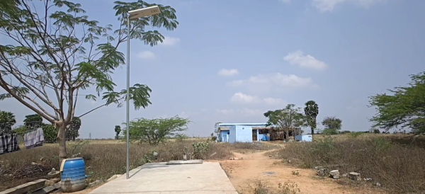 Dindigul tamilnadu government tneb