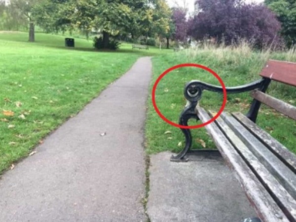 optical illusion offbeat trend