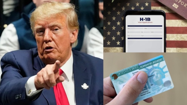 Donald Trump America India