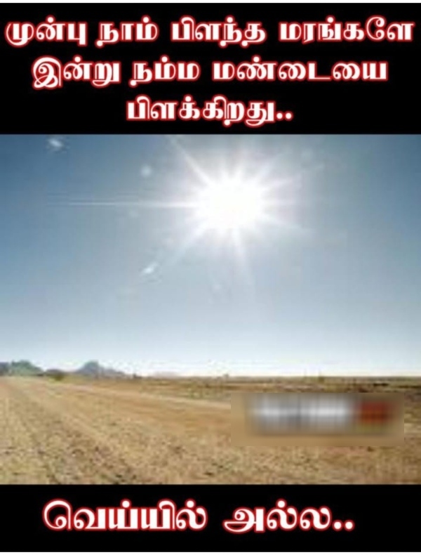 summer sun tea rain memes