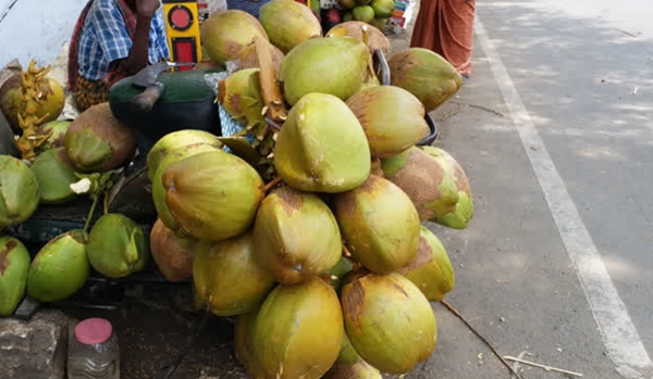 Coimbatore weather summer Coimbatore weather summer