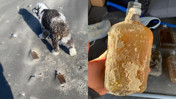 US canada international US canada international