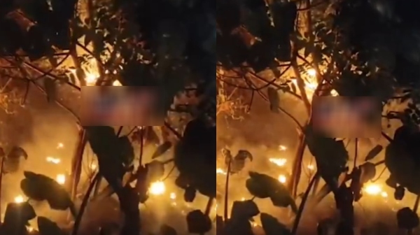 Yercaud Fire Forest Yercaud Fire Forest