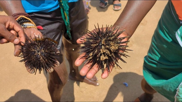 tutucorin Thiruchendur spirituality tutucorin Thiruchendur spirituality