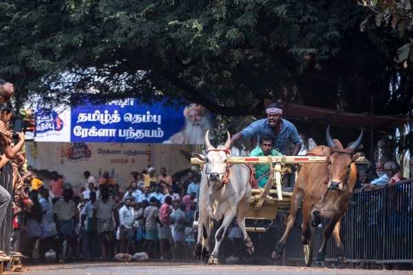 isha Coimbatore tamil nadu