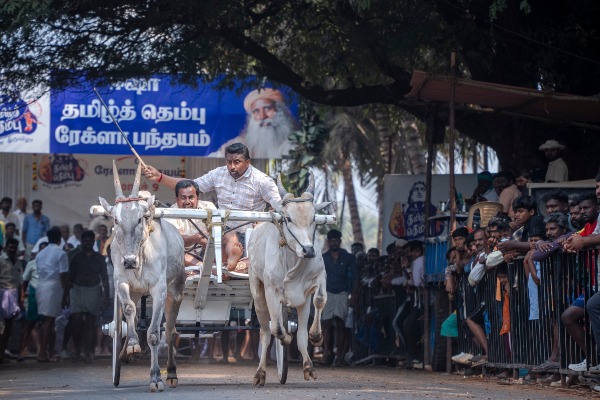 isha Coimbatore tamil nadu