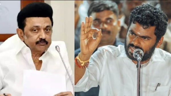 Katchatheevu Resolution in Tamilnadu Assembly is a election stunt of DMK says BJP State President Annamalai Katchatheevu Resolution in Tamilnadu Assembly is a election stunt of DMK says BJP State President Annamalai