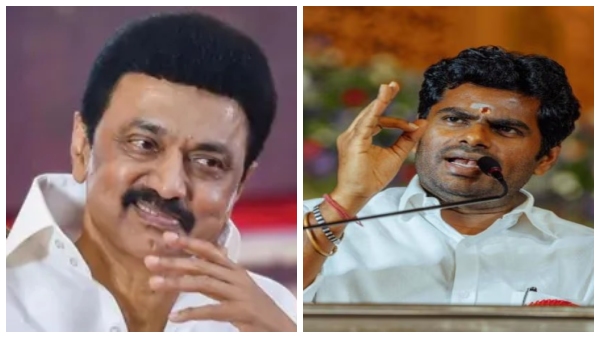 chief-minister-stalin-must-apologize-for-insulting-the-prime-minister-says-annamalai chief-minister-stalin-must-apologize-for-insulting-the-prime-minister-says-annamalai