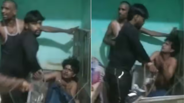 Uttar pradesh Trunk Box Elder Brother Uttar pradesh Trunk Box Elder Brother