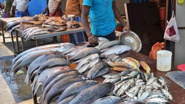 Fish fish rate Tamil Nadu government Fish fish rate Tamil Nadu government
