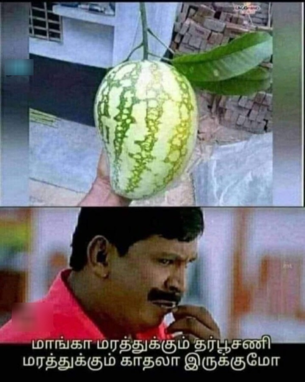 summer sun tea rain school leave memes