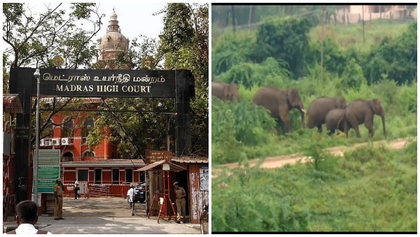 crime tamil nadu madras high court