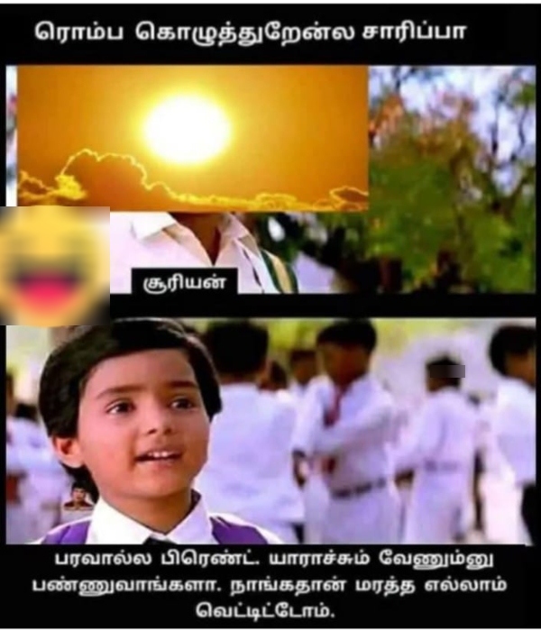 summer sun tea rain memes