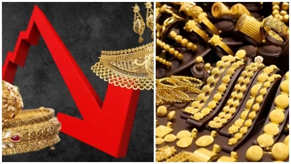 gold rate gold rate
