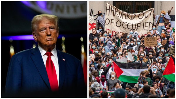 Trump Harvard US Trump Harvard US