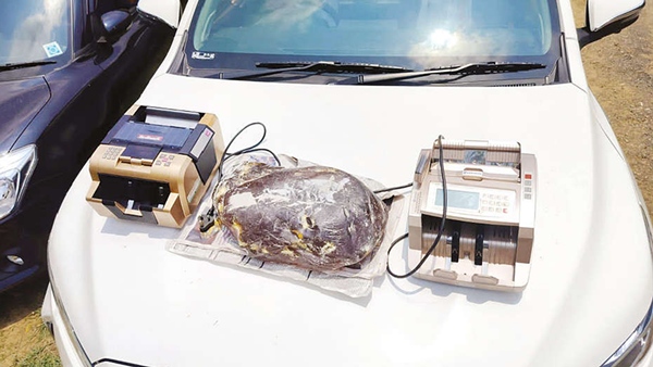 Whale saliva worth Rs 10 crore smuggled from Kerala to karnataka s kodagu district seized Whale saliva worth Rs 10 crore smuggled from Kerala to karnataka s kodagu district seized