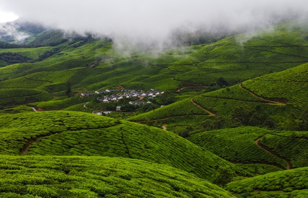 Two places colder than Kodaikanal Budget travel near Theni Two places colder than Kodaikanal Budget travel near Theni