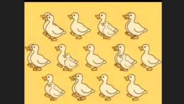 how-many-duck-in-the-optical-illusion-picture-can-you-find-it-in-5-seconds