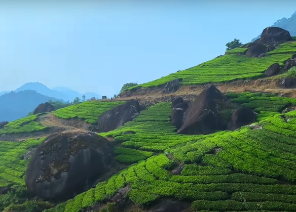 Pampadum Solai park a must-visit place on the Munnar to Kodaikanal road Pampadum Solai park a must-visit place on the Munnar to Kodaikanal road