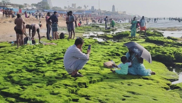 tiruchendur murugan temple spirituality tiruchendur murugan temple spirituality
