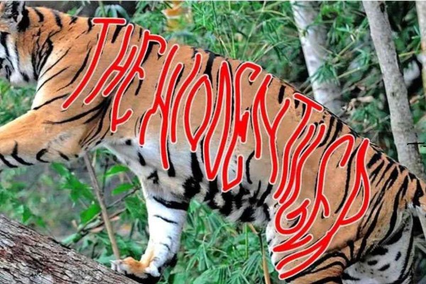 optical illusion offbeat trend