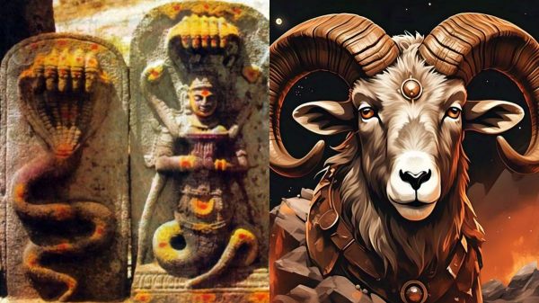 Rahu ketu peyarchi mesham Astrology