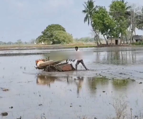 Mayiladuthurai paddy tamilnadu Mayiladuthurai paddy tamilnadu