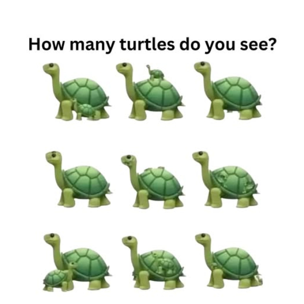 optical illusion offbeat trend optical illusion offbeat trend