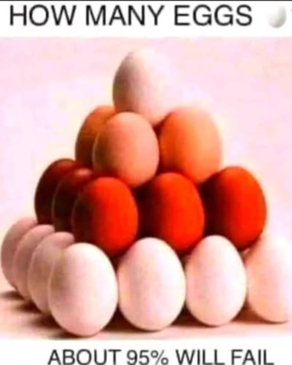 optical illusion offbeat trend