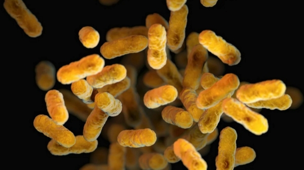 Russia Virus Russia Virus