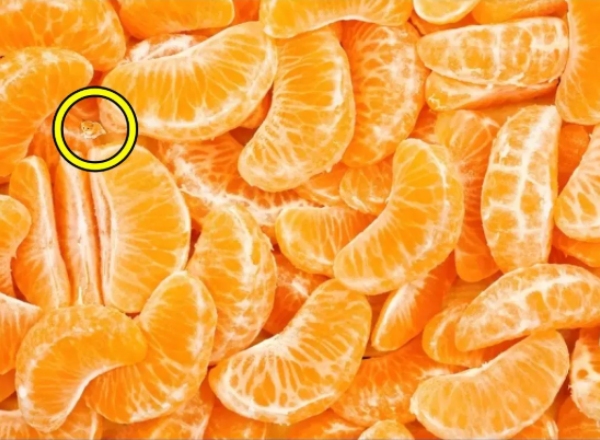 optical illusion offbeat trend