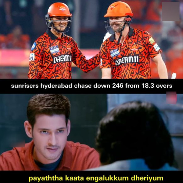 ipl 2025 memes Kavya Maran SRH vs PBKS Preity Zinta ipl 2025 memes Kavya Maran SRH vs PBKS Preity Zinta