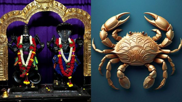 Rahu ketu peyarchi Kadagam Astrology Rahu ketu peyarchi Kadagam Astrology