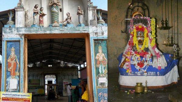 Rahu ketu peyarchi Thirupampuram Seshapureeswarar Temple