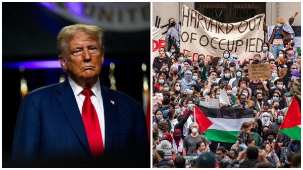 Harvard university Trump US