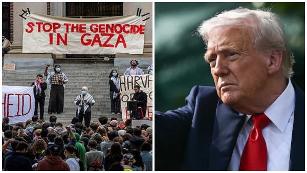 Trump tax gaza