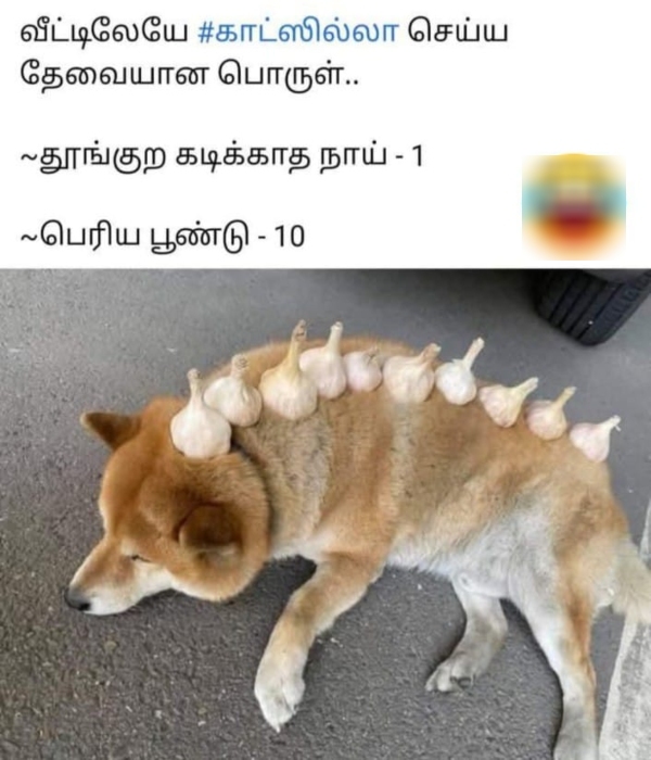 covishield corona vaccine covaxin memes covishield corona vaccine covaxin memes