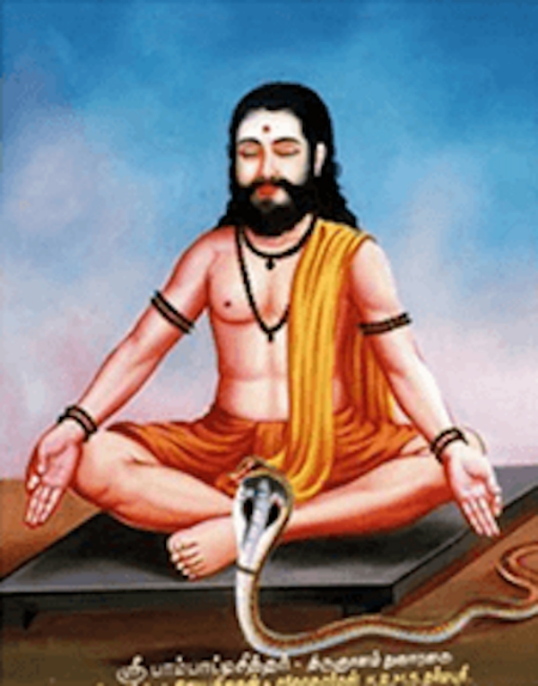 spirtuality paampatti siddhar