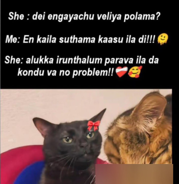 money health stress memes