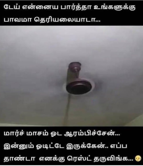 summer sun tea rain school leave memes