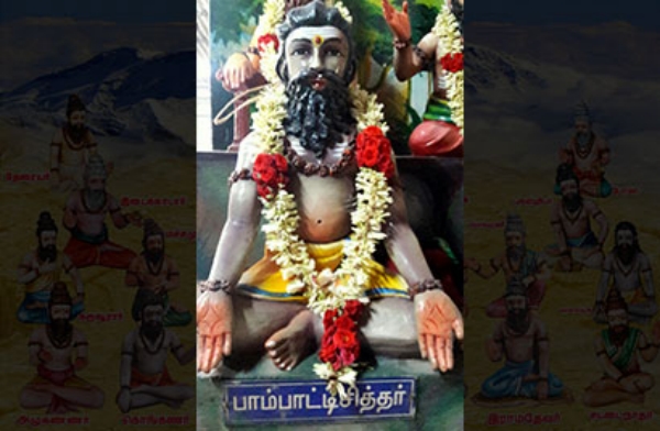 spirtuality paampatti siddhar