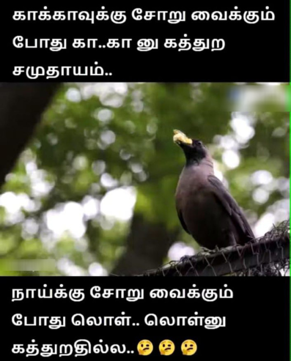 money health stress memes