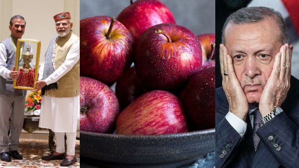 himachal-cm-request-pm-modi-to-ban-apple-imports-from-turkey-and-azerbaijan himachal-cm-request-pm-modi-to-ban-apple-imports-from-turkey-and-azerbaijan