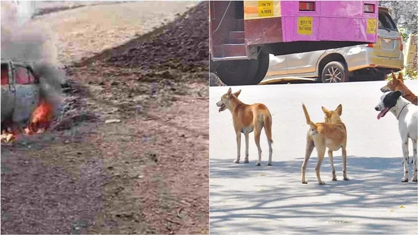 What happened to the Nallaiya family who went with their family to buy land from Chennai to Dindigul