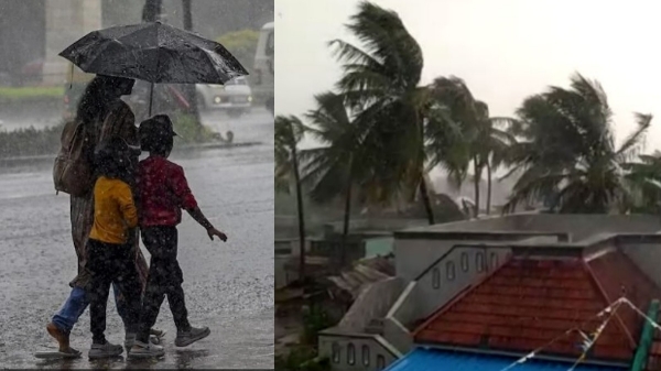 Weather